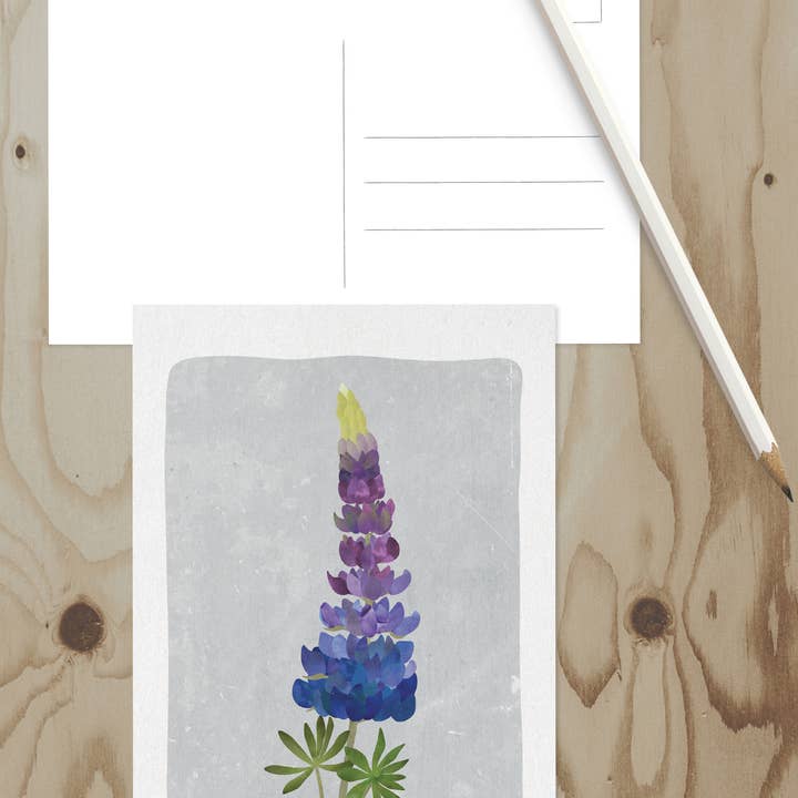 Wren and the Raven - Wholesale Postcard - Alaska Wildlife Series Postcards10