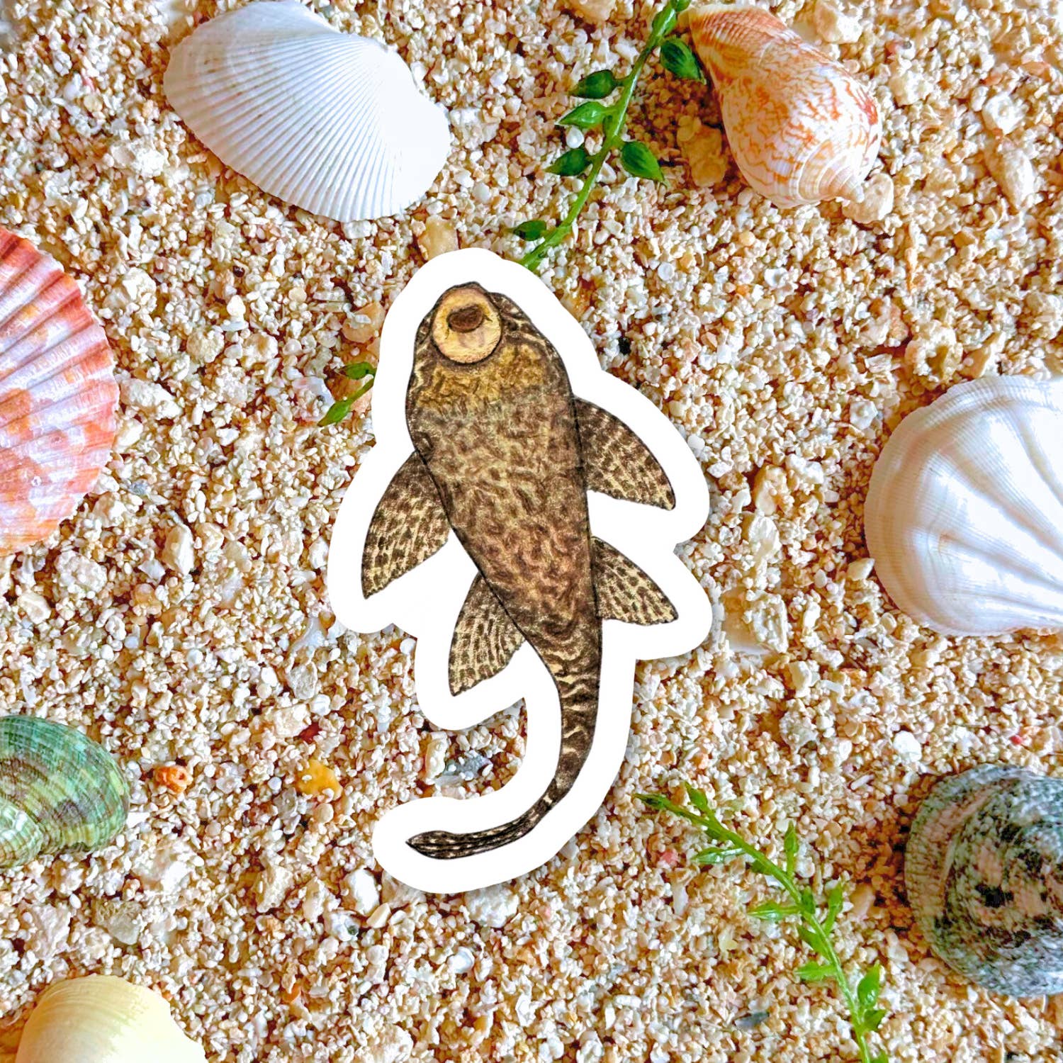 Fins and Frags - Wholesale Sticker - Handmade Pleco Sticker, for Fish & Aquarium Lovers