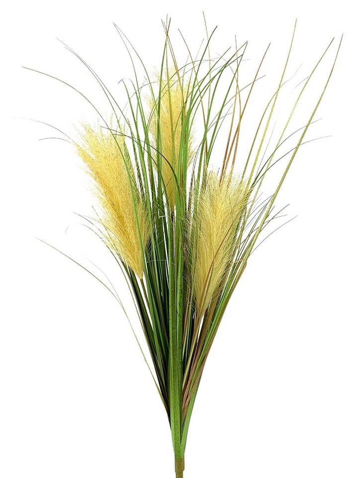 Ram.Grass Plumero x3 Amari. 62 cm for wholesale by Aguilar Málaga