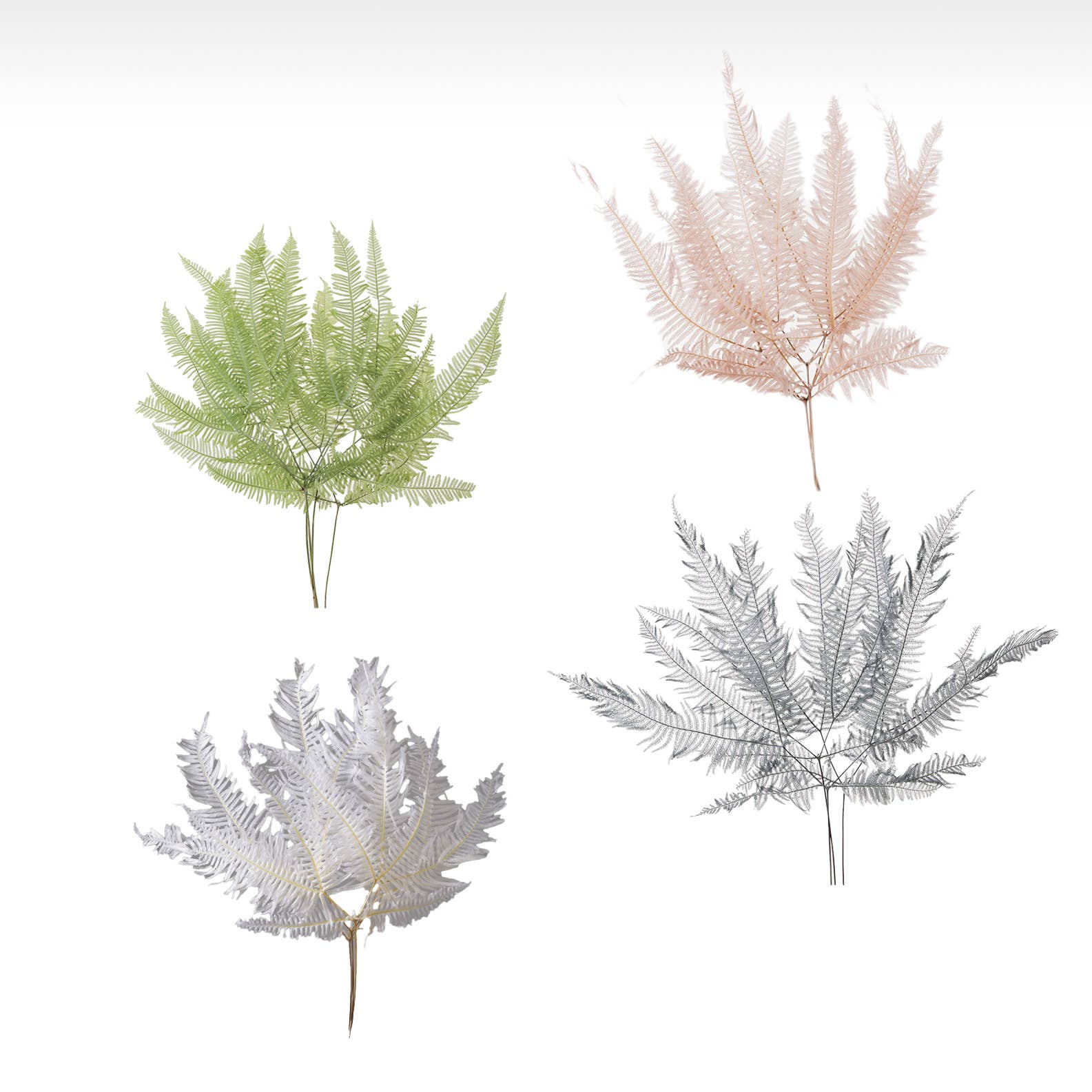 2626 Designs - Wholesale Dried/pressed flowers - Dried Preserved Mountain Fern | Realistic & Lasting Decor5