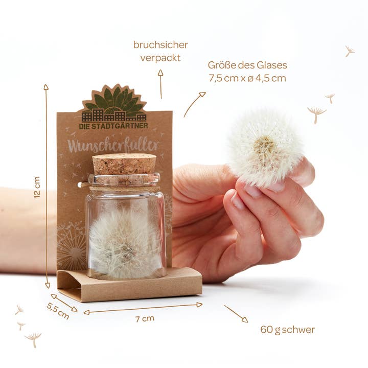 TDJ Stadtgärtner GmbH - Wholesale Party Favor - Wish filler, large - in 5 language variants