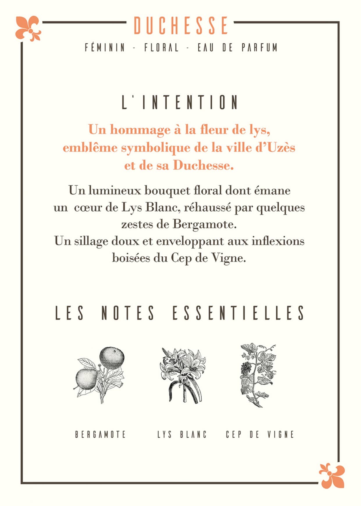 Les Parfums D'Uzège - Wholesale Perfume/Eau de Toilette - Duchesse Eau de Parfum - 50ml3