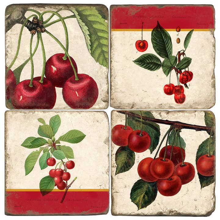 Botanische Kirschen — Trommelmarmor-Untersetzer-Set, 4 Stück für den Großhandel von Studio Vertu