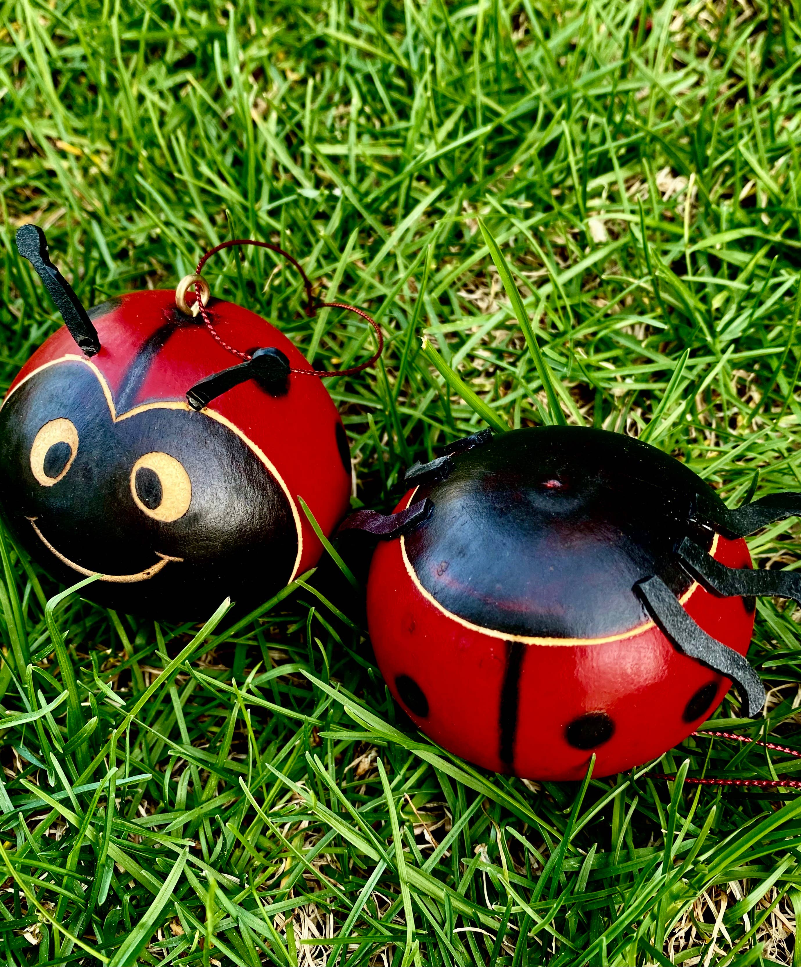 Blossom Inspirations – Großhandel Verzierung – Marienkäfer-Kürbis1