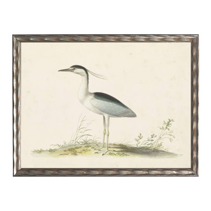 Oiseau d'eau bleu vintage B sur fond usé pour la vente par Antique Curiosities Inc