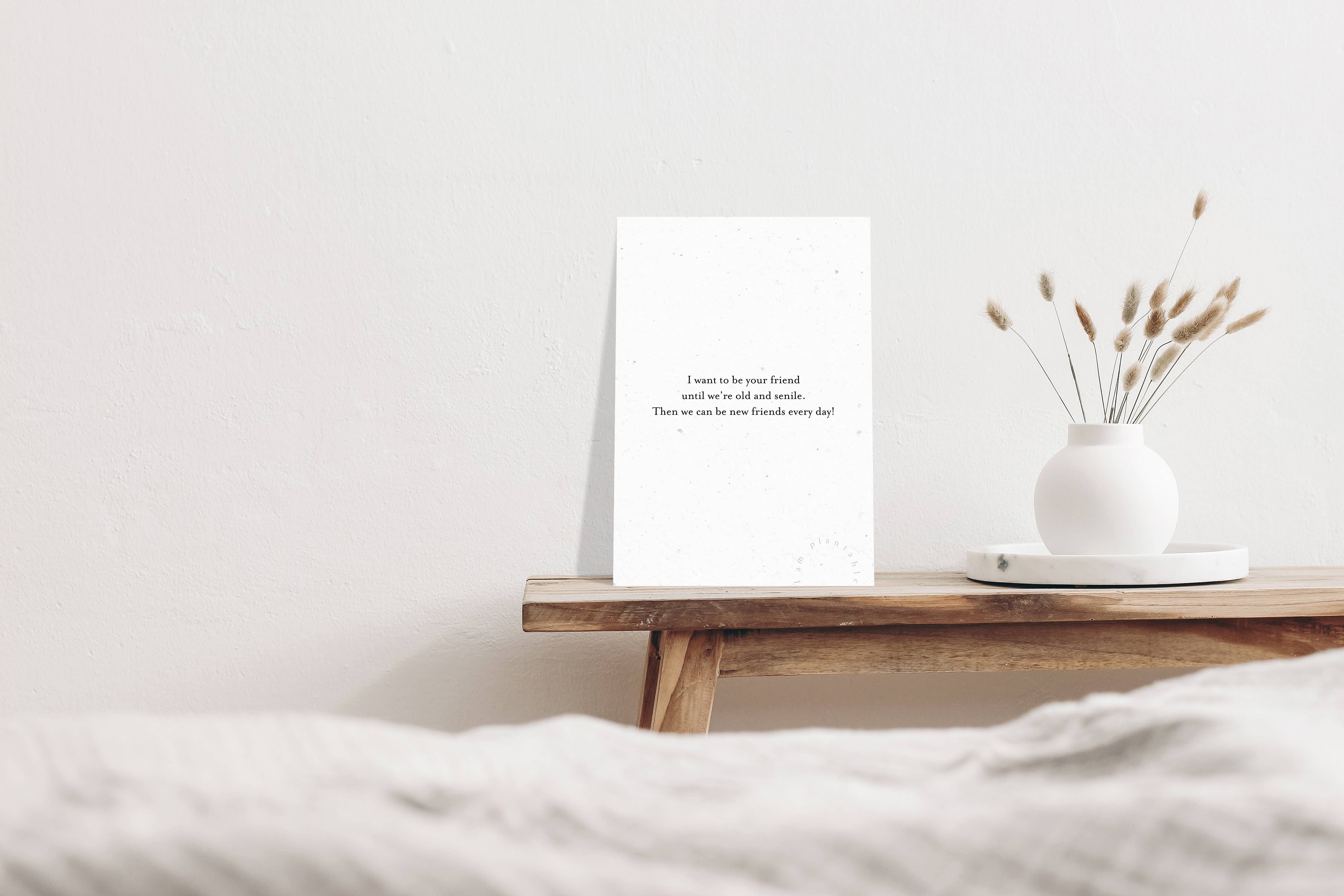 Axel & Ash - Wholesale Everyday Greeting Card - PLANTABLE Greeting Card || SENILE - 6Pack8