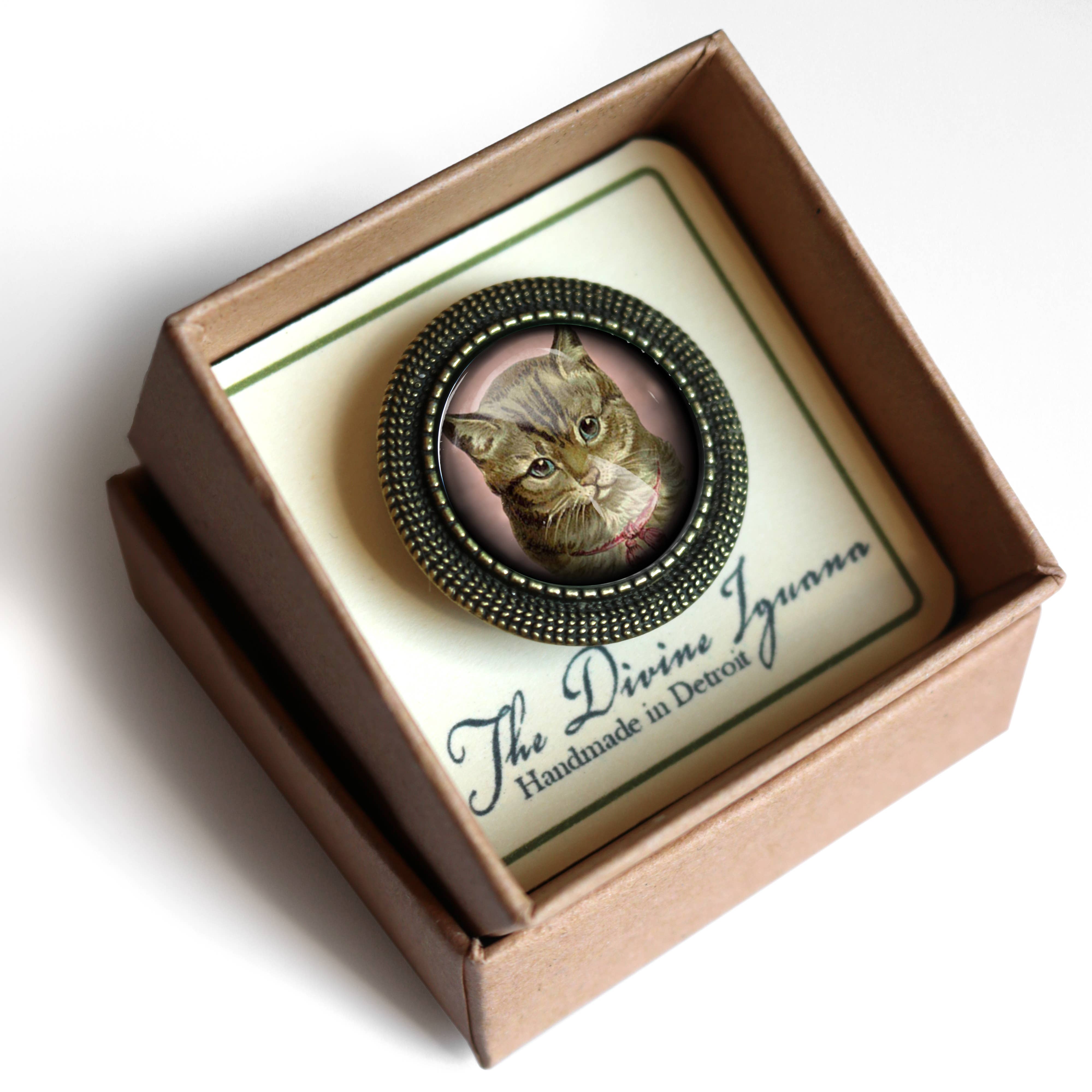 The Divine Iguana - Vendita all'ingrosso Spille - Spilla vittoriana a forma di gatto Tabby con scritta «Best Friends»3