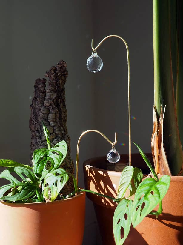 Brot S and L Light Traps for wholesale by Srta.Bolitas