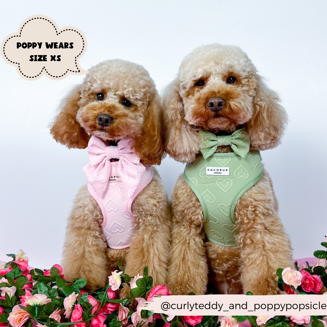 Cocopup London - Wholesale Pet Harness - Dog - Luxe Adjustable Neck Harness - Sage Heart12