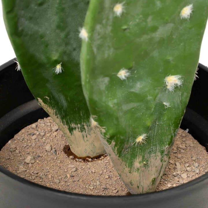 Portofino International Trading, USA - Wholesale Artificial Plant - Faux Prickly Pear Cactus with Plastic Pot 30"6