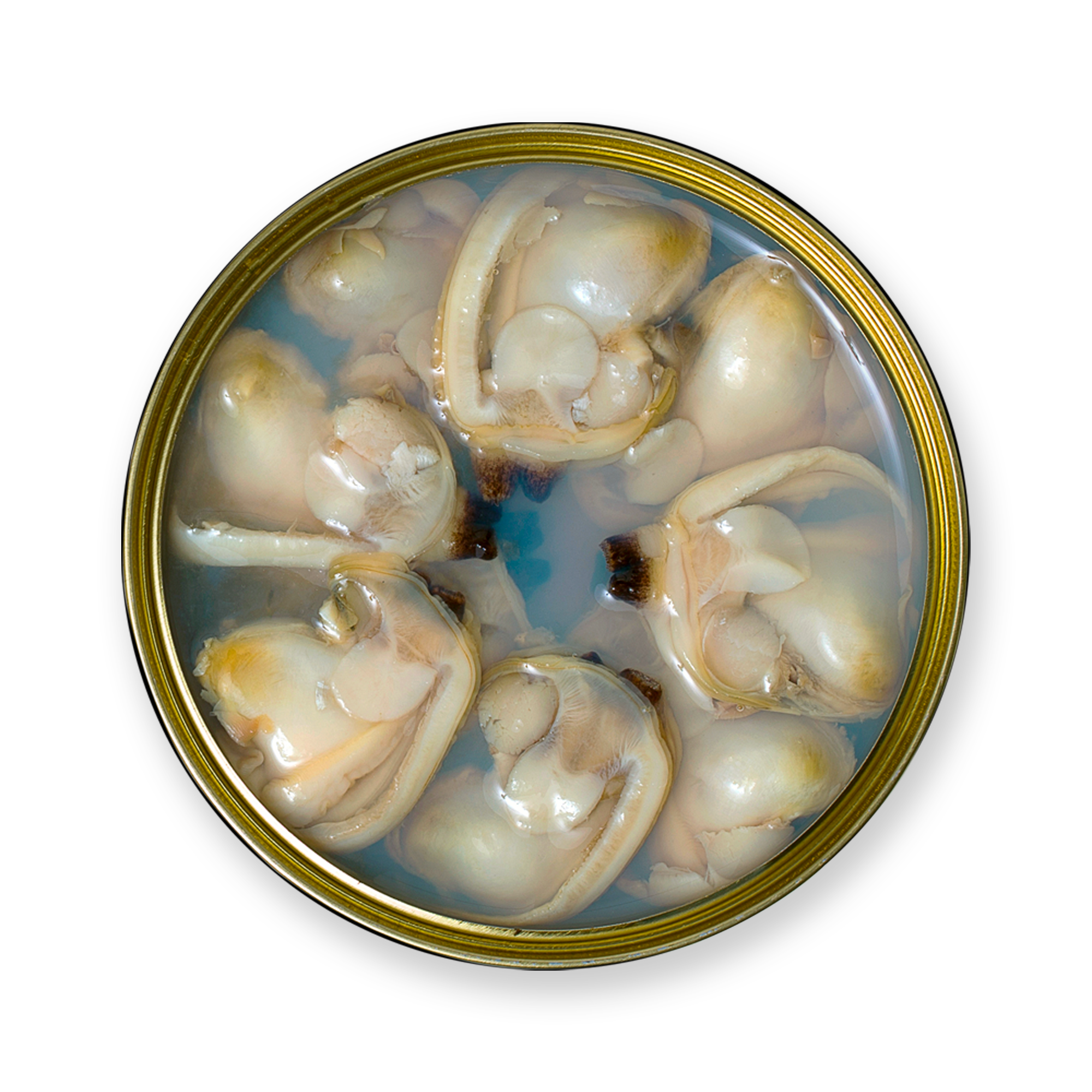 Conservas La Brújula - Wholesale Tinned Fish - Clams In Brine 8/10 RO120. LB401