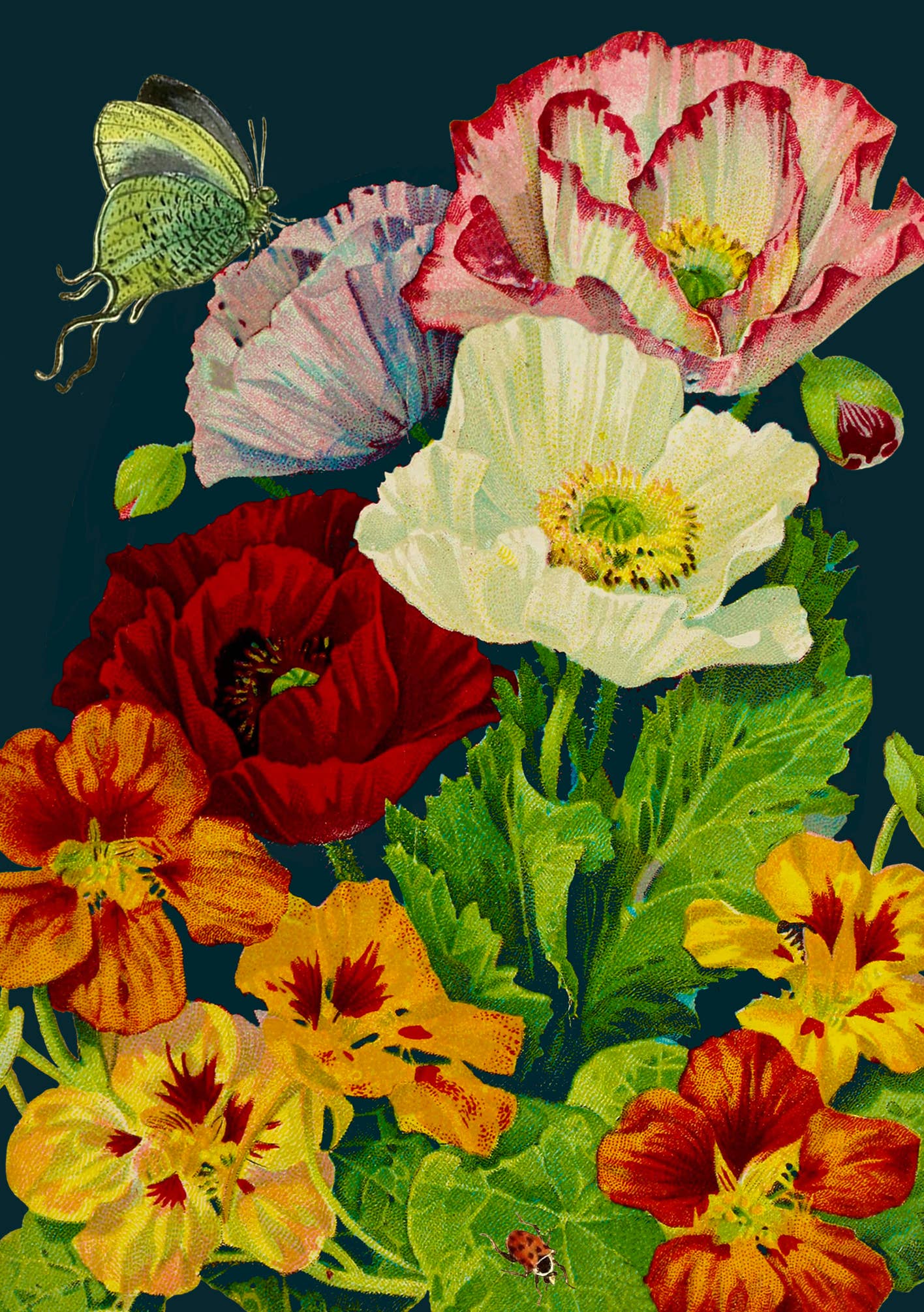 Madame Treacle – wholesale Everyday greeting card – RS187P ~ Blank Midnight Botanical Greeting Card1