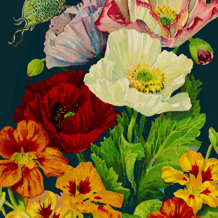 Madame Treacle – wholesale Everyday greeting card – RS187P ~ Blank Midnight Botanical Greeting Card1