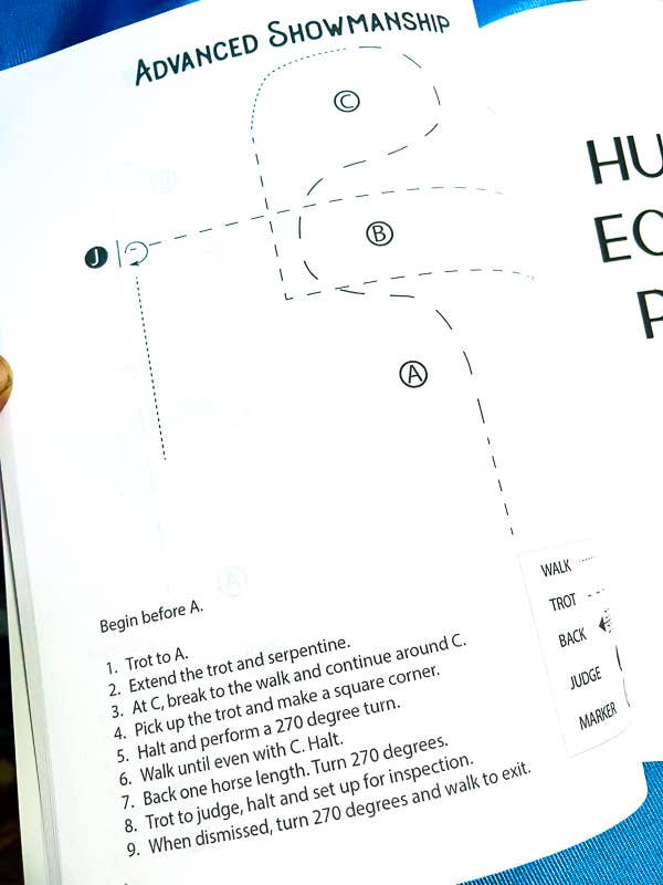 Circus Unicorn Shop - Wholesale Reference Book - The Book of Horse Show Patterns3