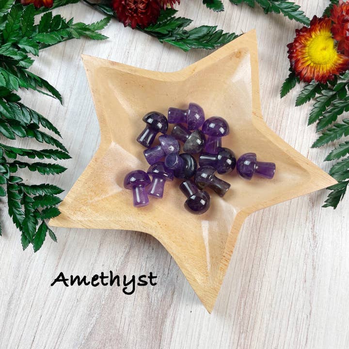 Ewelina Pas Jewelry - Wholesale Spiritual Stone/Crystal - MINI Gemstone Mushroom Pocket Stone12