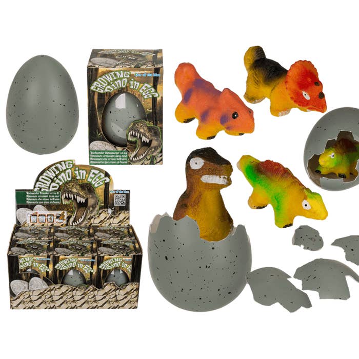 Växande dinosaurie i ägg, för wholesale av Out of the blue KG