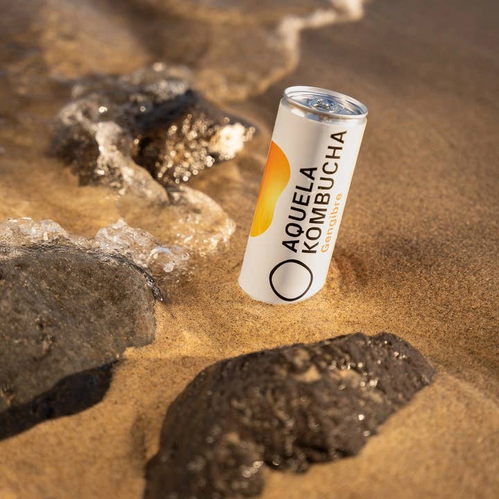 Geocakes - Wholesale Kombucha - That Organic Ginger Kombucha - 250ml Can1