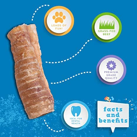 J&C PET SUPPLY LLC - Wholesale Pet Treats - Dog - 6 Inch Beef Trachea With Display Jack&pup Dog Treats2