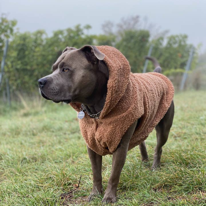Spark Paws - Wholesale Pet Jacket - Dog - Teddy Sherpa Fleece Dog Jacket - Brown