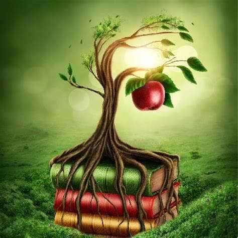 craftastik - Wholesale Fragrance Oil - Forbidden Fruit Fragrance Oil