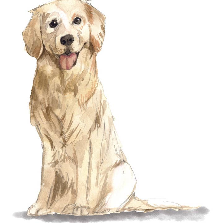 Golden Retriever Note Cards for wholesale by Bourbon & Bacon