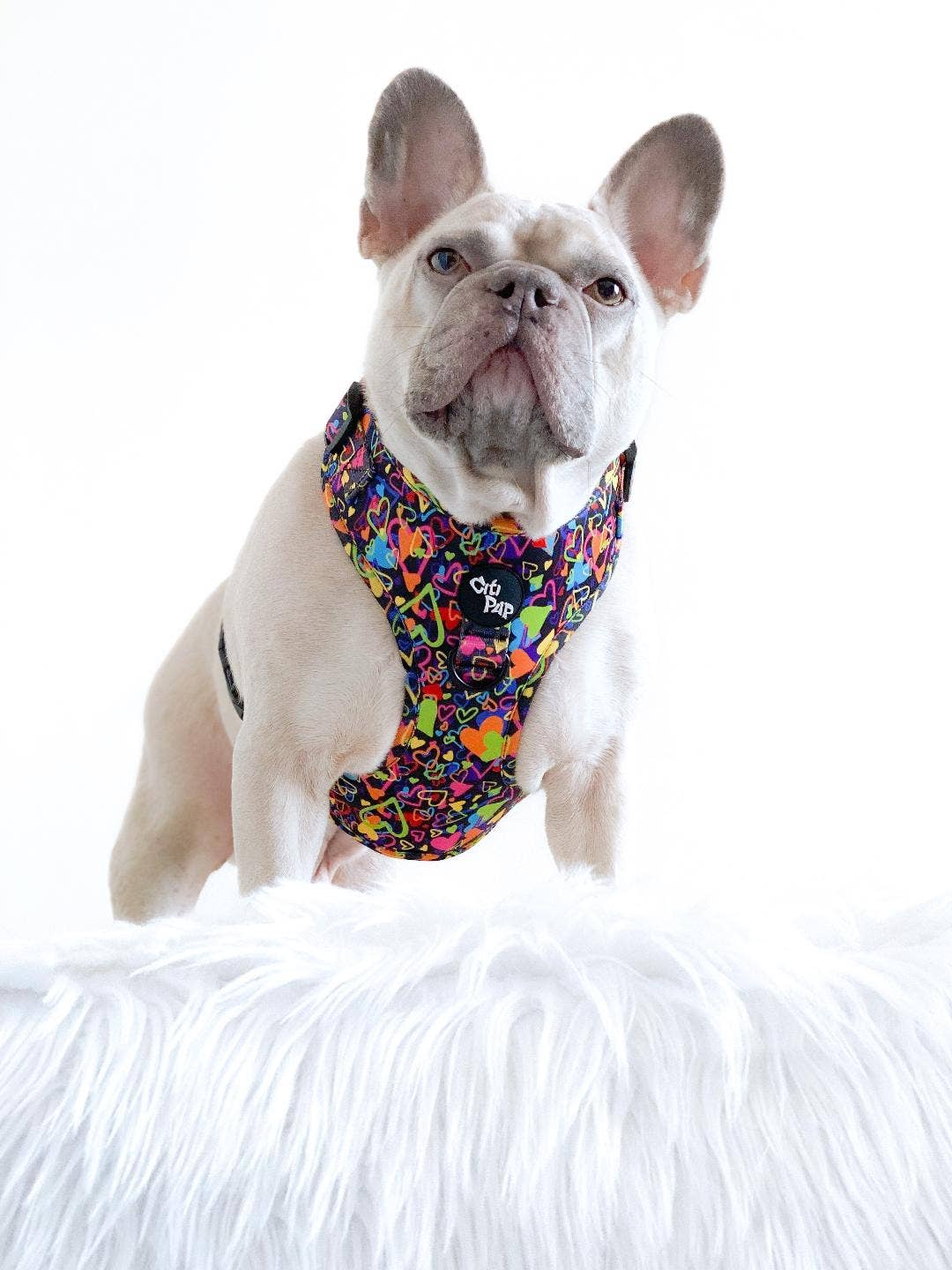 CitiPup Ltd – wholesale Pet harness – Dog – Groove is in the Heart - Harness2