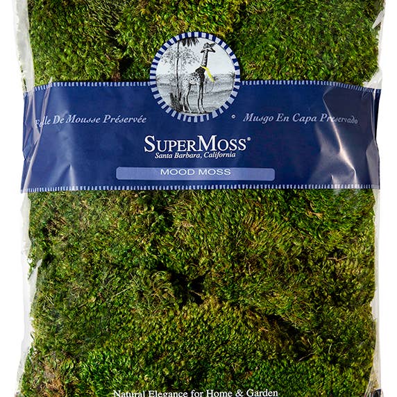 SuperMoss - Wholesale Dried/Pressed Flowers - Mood Moss Preserved2