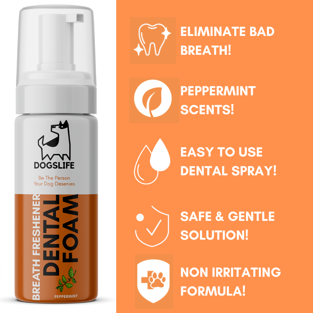 OurPetsLife - Wholesale Pet Grooming Aid - Dog - Dental Foam for Dogs1