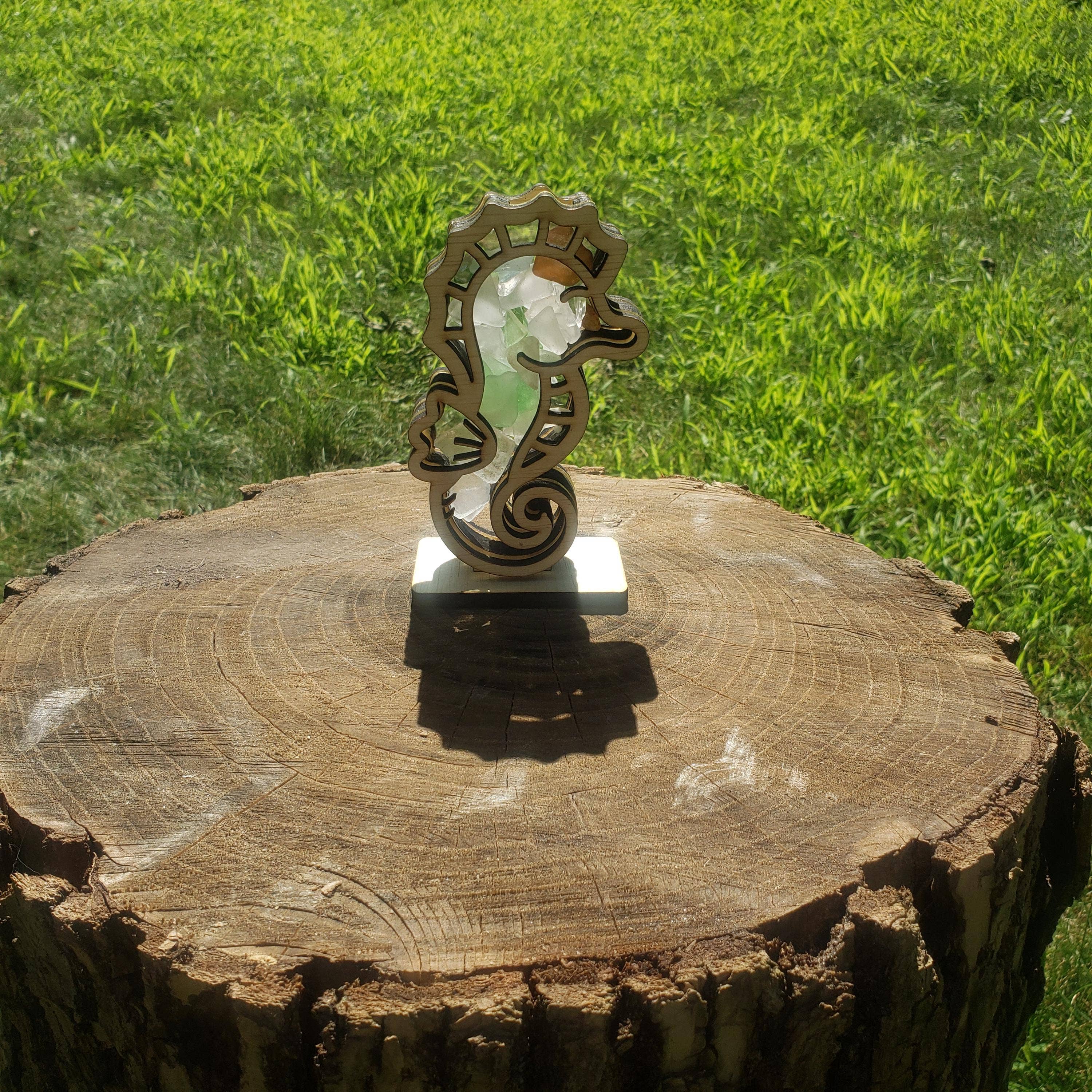 Sea Glass Displays – Engroshandel Pyntekasse – Seahorse Sea Glass Shadowbox Display 4 stilarter Flerfarvet7