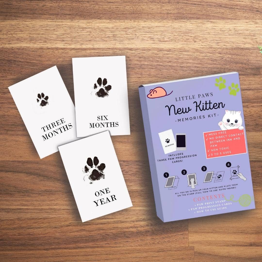 Paw Prints – wholesale DIY craft kit – Pet Paw Print Kits: Cats, Dogs, Puppy, Guinea Pig, Rabbit13