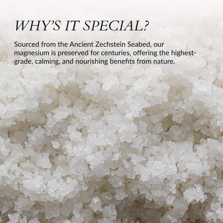 Jazeena - Wholesale Body Scrub/Exfoliant - Magnesium Body Scrub | Supports Sleep, Zechstein-Rich 6.7oz2
