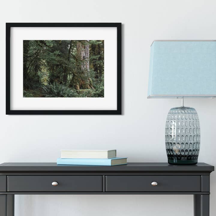 Where Forest Meets Magic, Olympic National Park Photography for wholesale by lostkatphoto