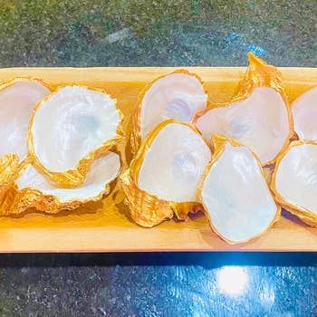 Shells by Shea wholesale products