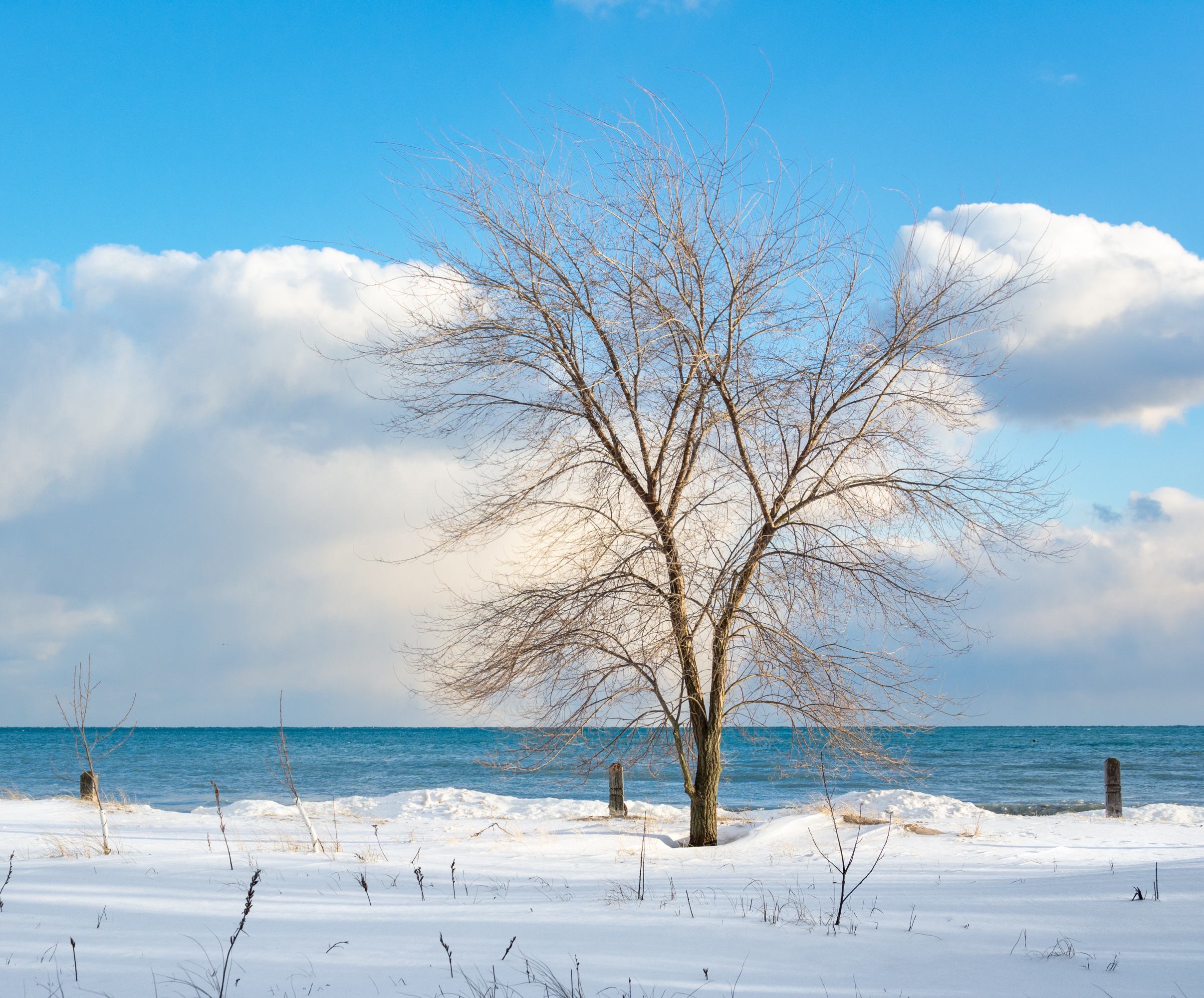 MISS MERLE Duftmanufaktur - Wholesale Jar/Filled Candle - Scented Candle Cinnamon & Orange 150g – Winter Waves2