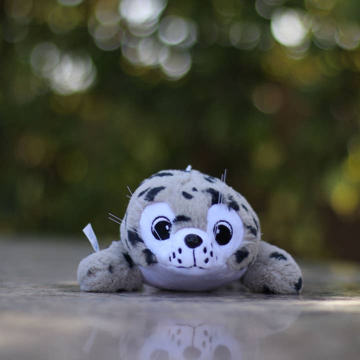 Sammy The Seal for wholesale by Shore Buddies