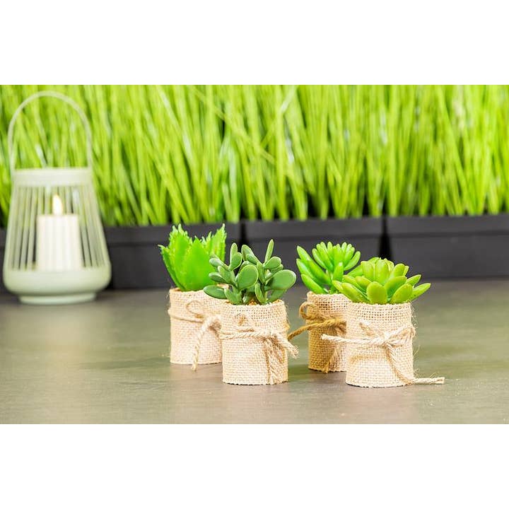 Abbott - Wholesale Artificial Plant - Set of 4 Succulents In Burlap Wrap-4"H - Clearance1
