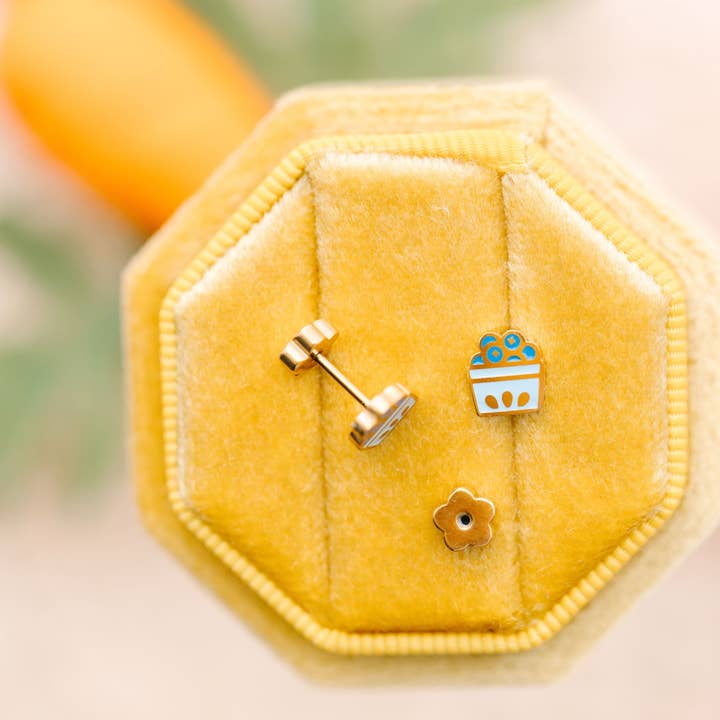 Blueberries for wholesale by Pierced Co