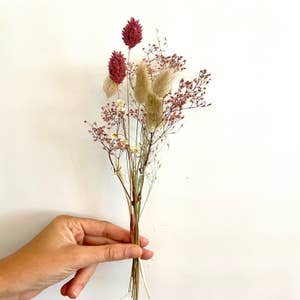 Up To 59% Off on 12 Colors Real Dried Flowers