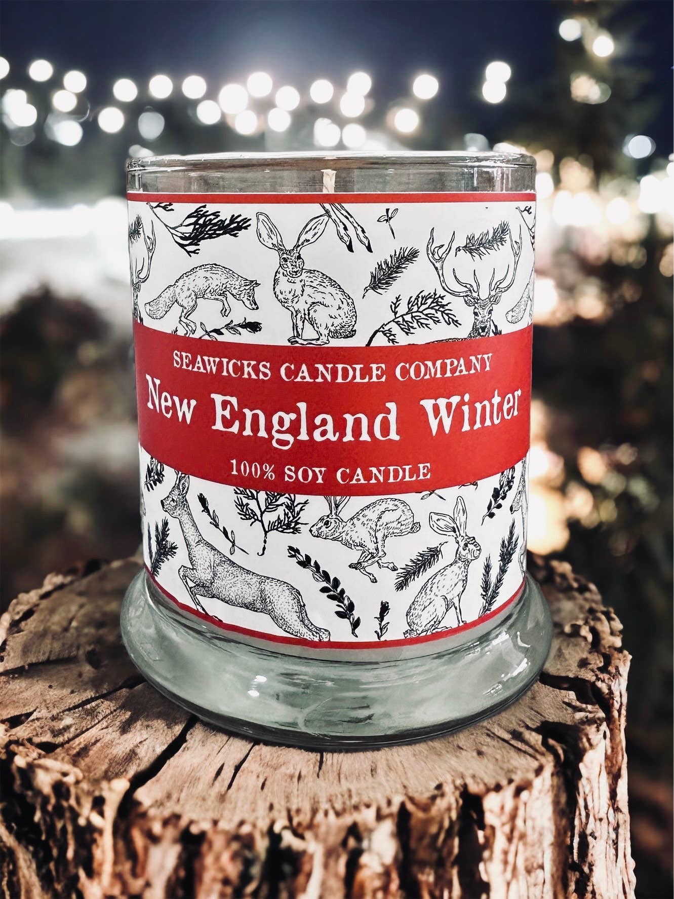 Seawicks Candle Company - Wholesale Jar/Filled Candle - New England Winter 100% Soy Candle1