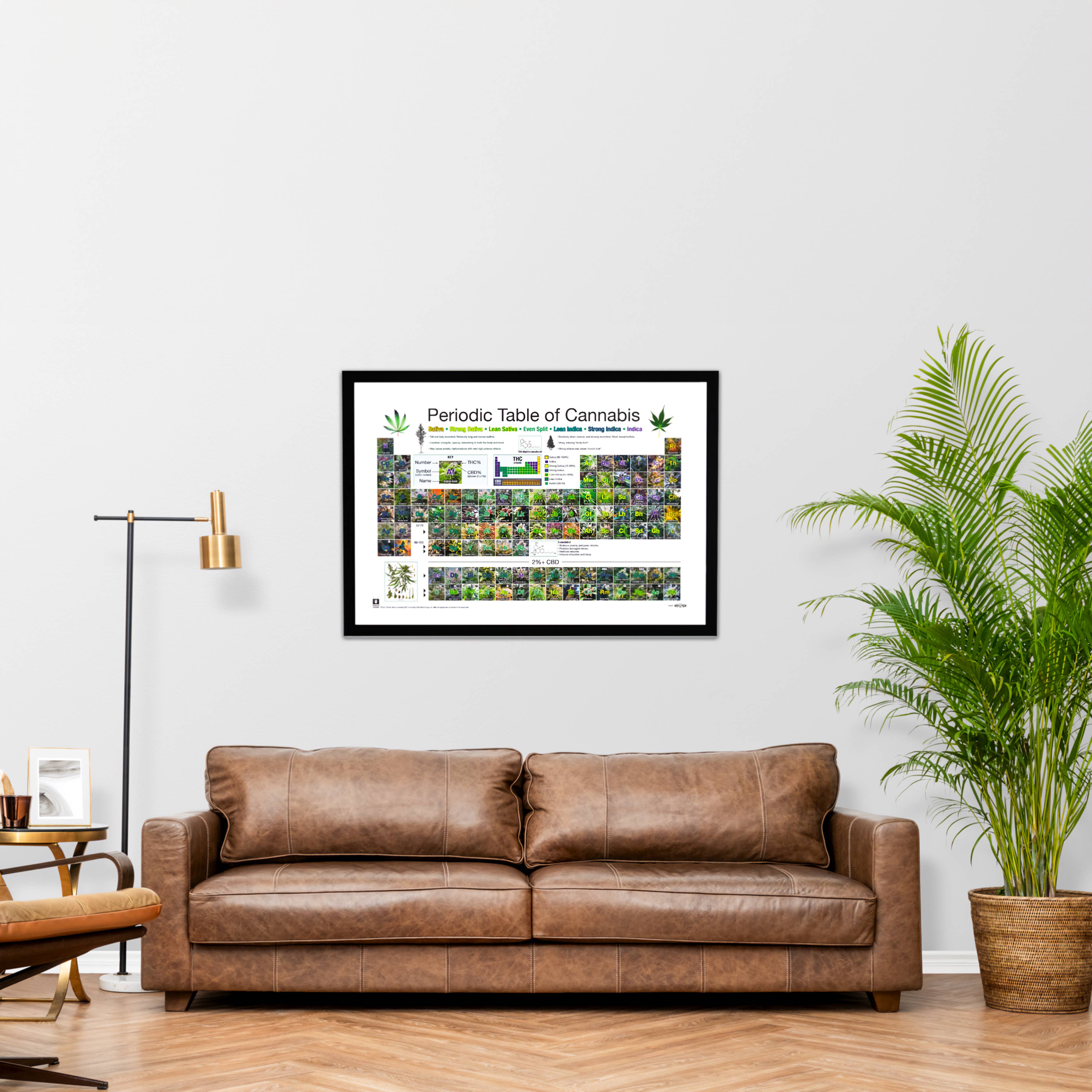 Close Up GmbH - Wholesale Poster - Periodic Table Of Cannabis Periodic Table of Hemp Strains3