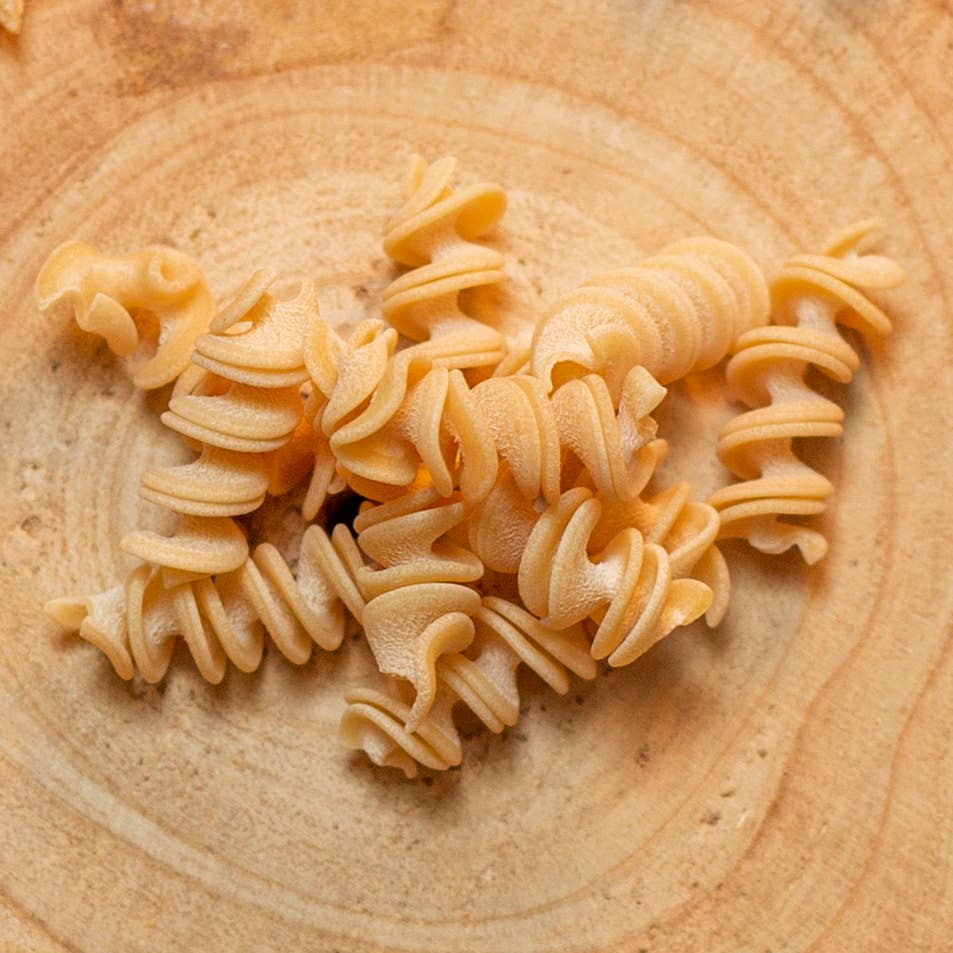 Molino Pastificio Gloria – wholesale Pasta – FUSILLI 500g1