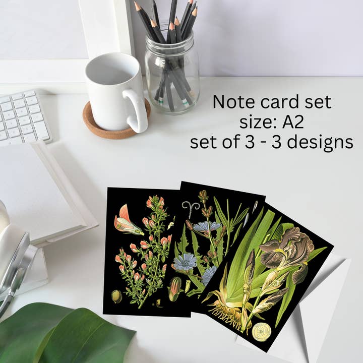 Black Botanical 4 - Notizkarten für den Großhandel von Wallflower Market
