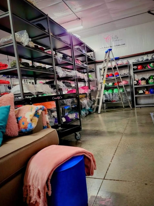 The Candy Collections - Vente T-shirt sérigraphié – femme - Allez les tigres t-shirt graphique tee fan de football tailgate Clemson2