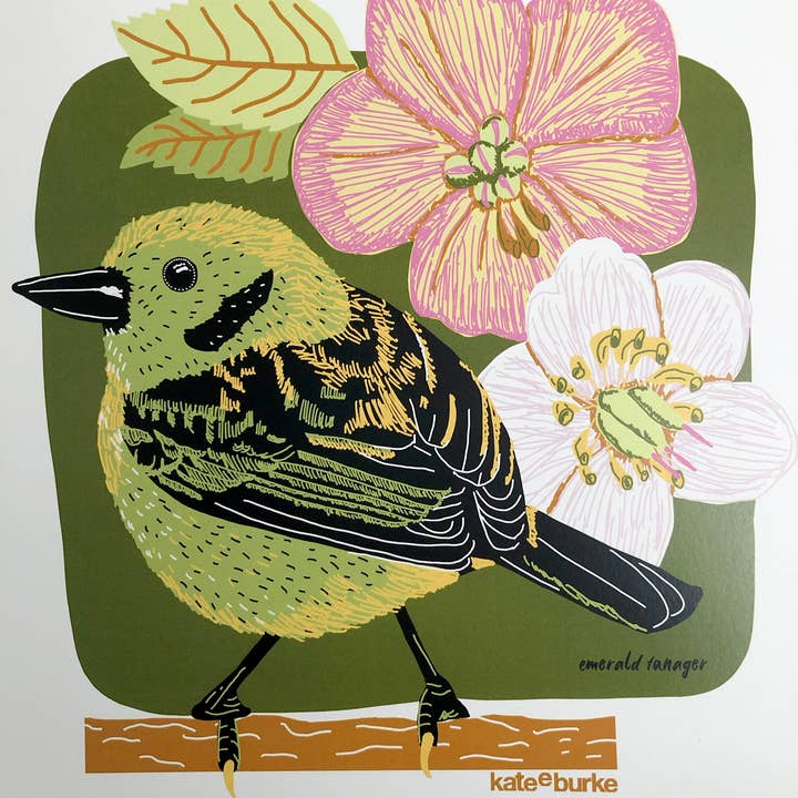 Kate E. Burke - Wholesale Art Print - Bird Series: Emerald Tanager 11x14 Digital Print3