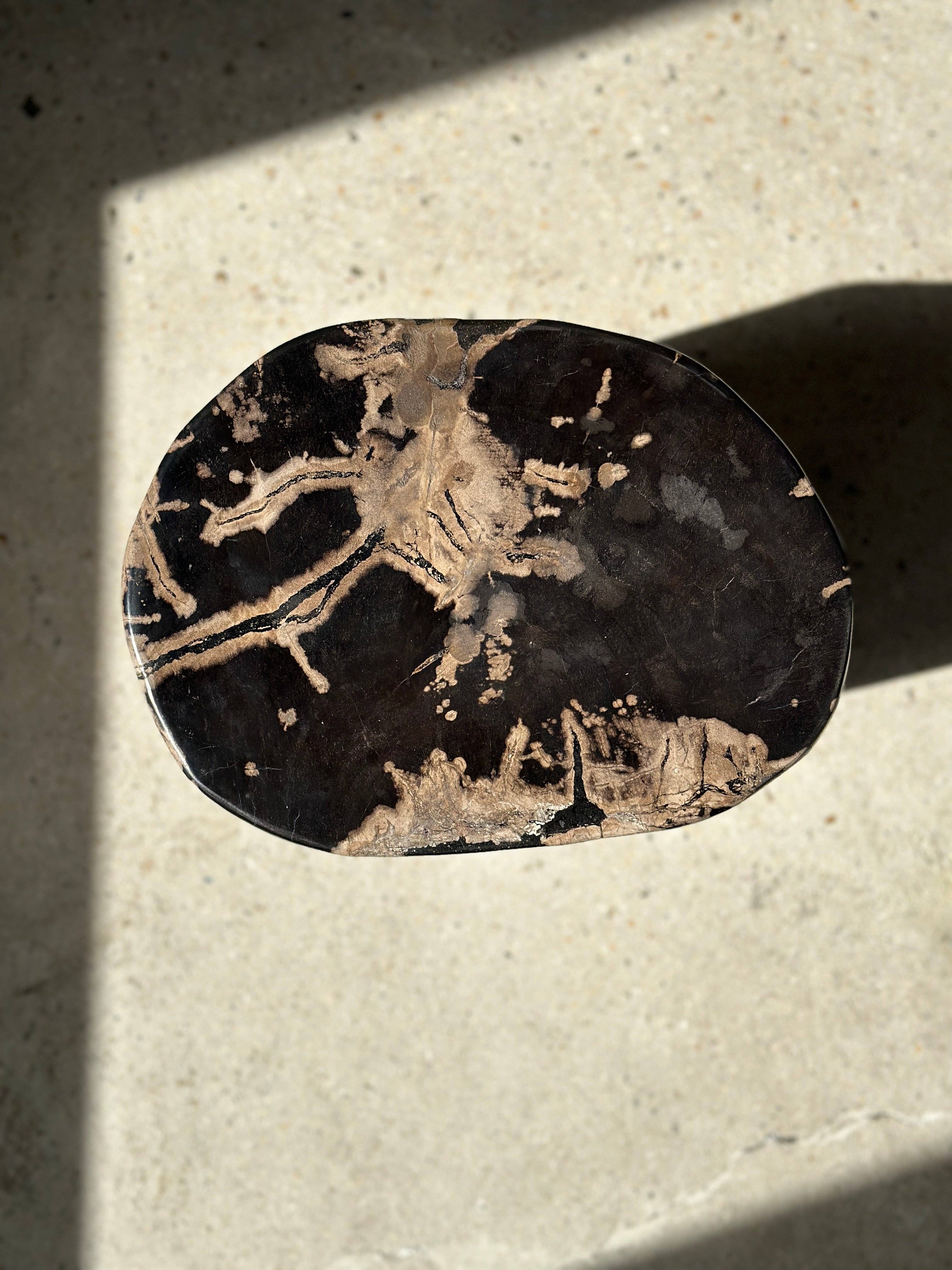 Office Objets - Vente Tables d'appoint - Table d'appoint en bois pétrifié3