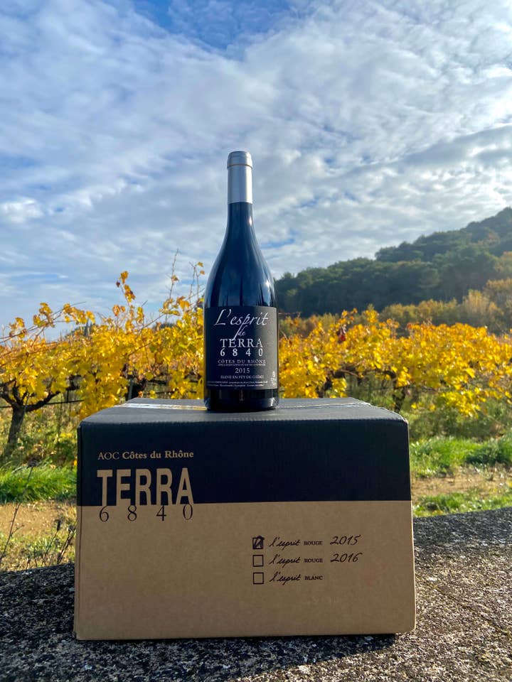 L'Esprit Rouge 2015 fat (6 flaskor) för wholesale av TERRA 6840