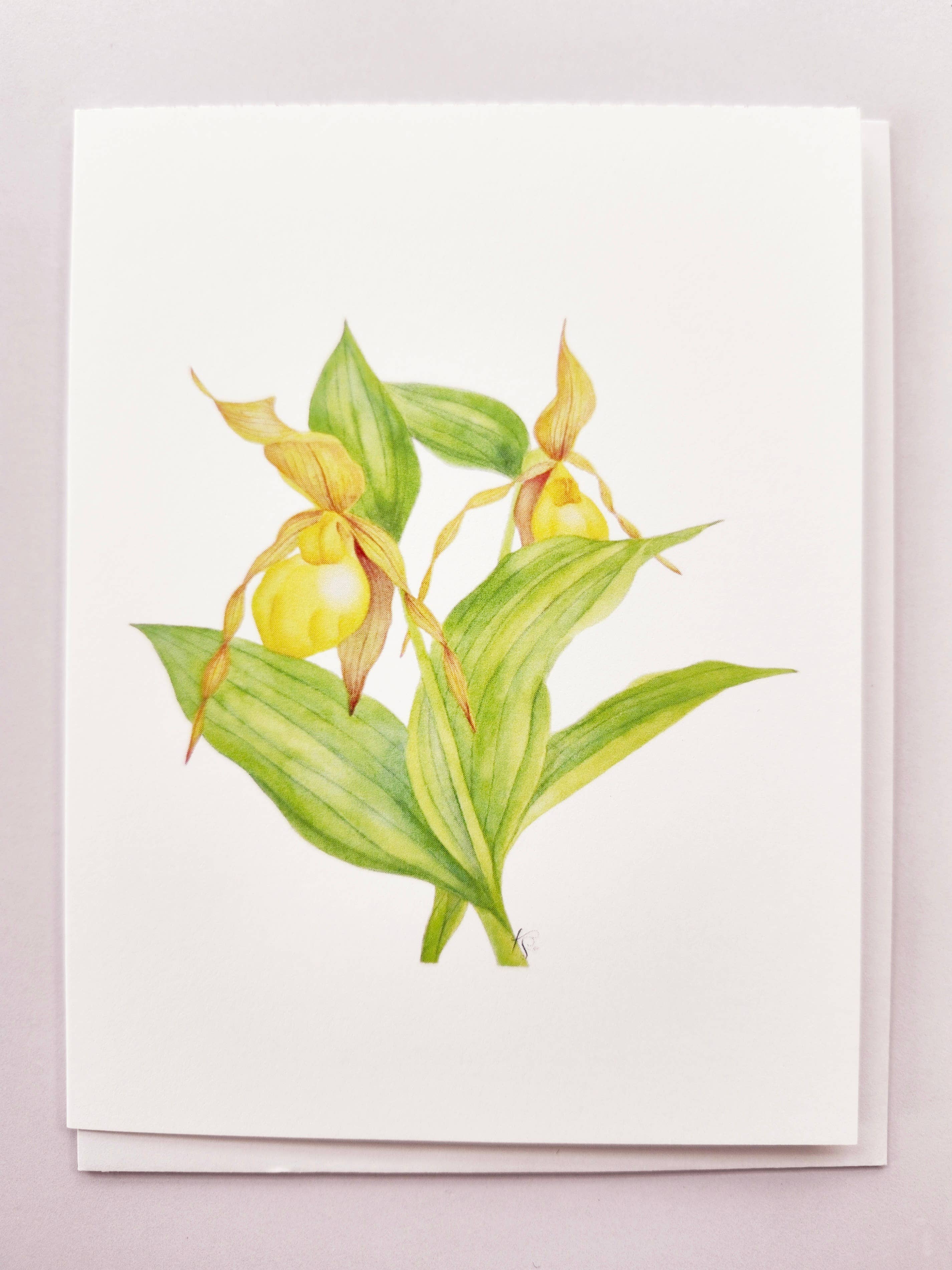 Redbriar Studio - Wholesale Stationery/Notecard Set - Notecards9