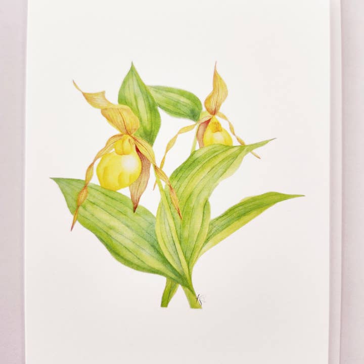 Redbriar Studio - Wholesale Stationery/Notecard Set - Notecards9