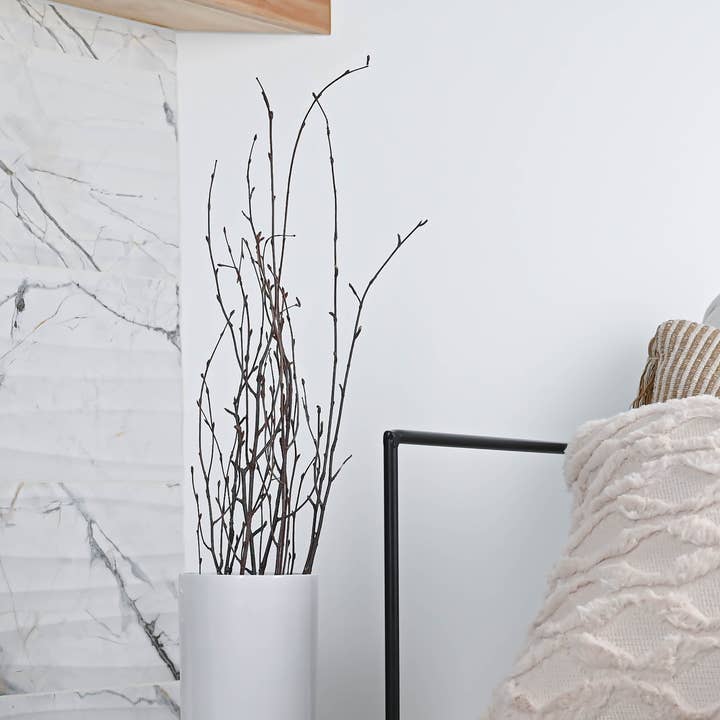 Dried Decor - Wholesale Dried/Pressed Flowers - Decorative Birch Branches | Natural Brown3