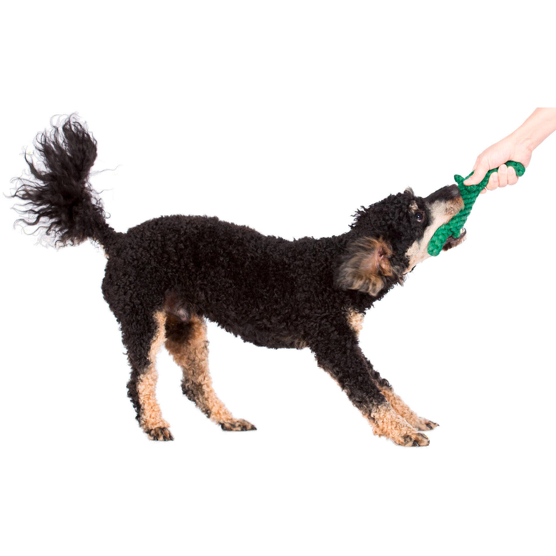 LABONI - Volentis GmbH - Wholesale Pet Chew Toy - Dog - KALLI KROKODIL – The Gentle Giant with Play Value11